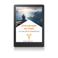 Une pensée en éveil - La voie de la méditation - Livre numérique