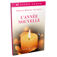 MP3 L'année nouvelle