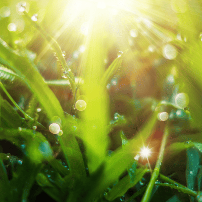 Une vie spirituelle renouvelée