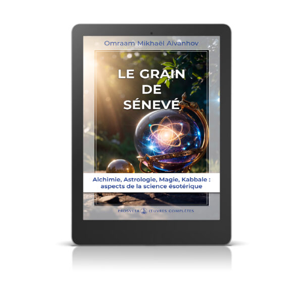 Le grain de sénevé - Livre numérique