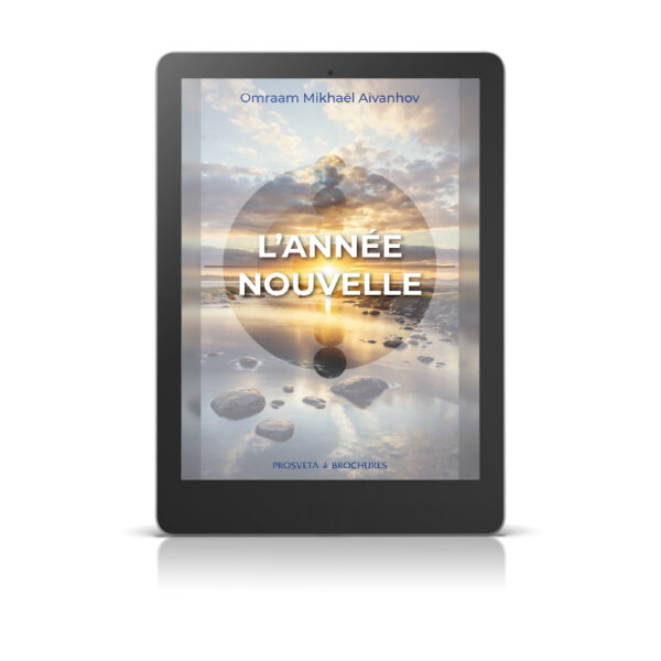L'année nouvelle - Livre numérique