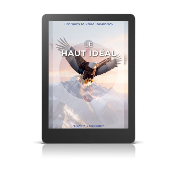 Le haut idéal - Livre numérique