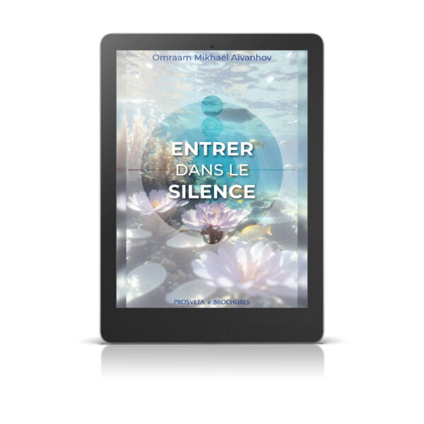 Entrer dans le silence - Livre numérique