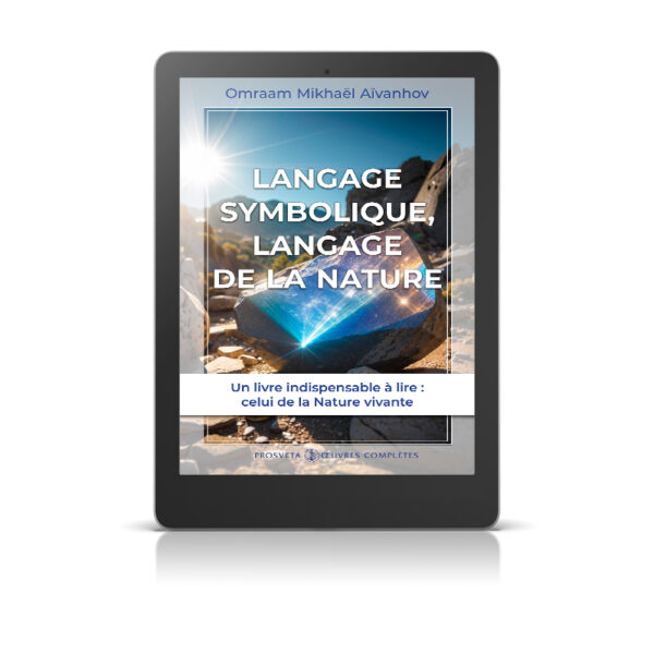 Langage symbolique, langage de la nature - Livre numérique