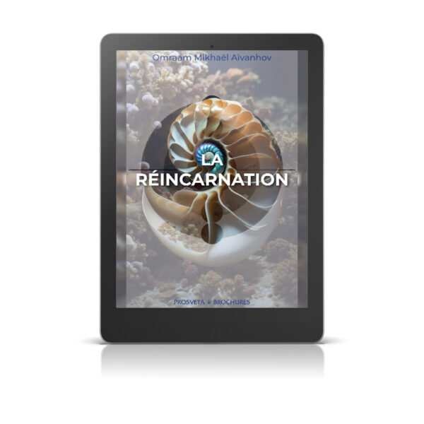 La réincarnation - Livre numérique