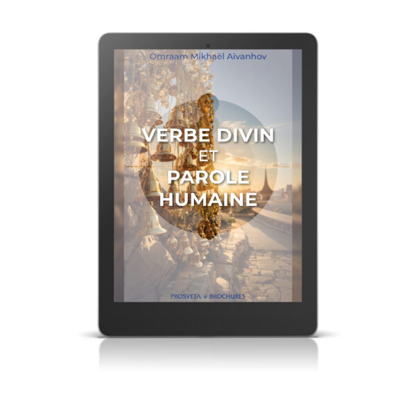 Verbe divin et parole humaine - Livre numérique