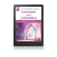 Regards sur l'invisible - Livre numérique