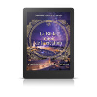 La Bible, miroir de la création 2 - Commentaires du Nouveau Testament - Livre numérique