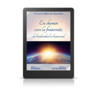 En chemin vers la fraternité, de l’individuel à l’universel - Livre numérique