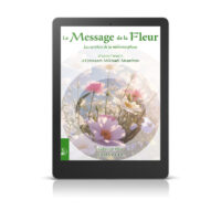 Le Message de la Fleur - Les sentiers de la métamorphose - Livre numérique