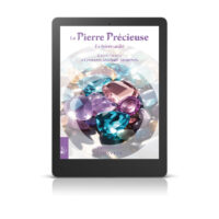 La Pierre Précieuse - Le trésor caché - Livre numérique