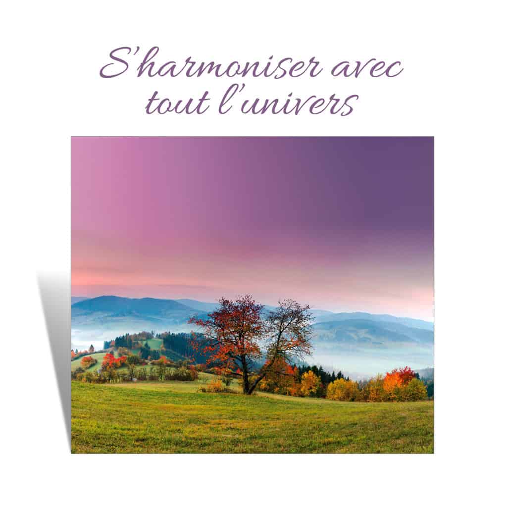 blogue__HarmonieOct2025__Ct_
